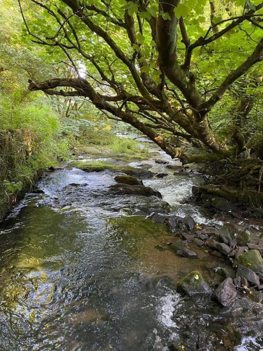 Banc Cottage Moylgrove Buitenkant foto