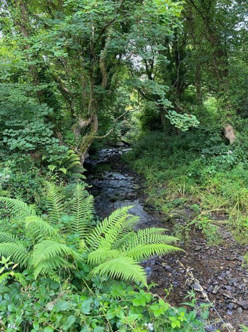 Banc Cottage Moylgrove Buitenkant foto